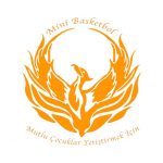 mini basketbol logo